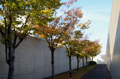c0229483_938318.jpg