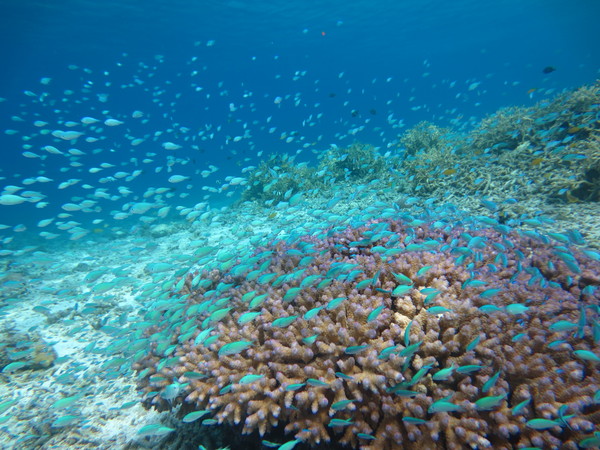 d0247789_15495867.jpg
