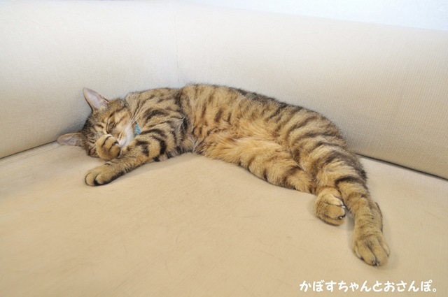 萌えポイント_a0126590_02473111.jpg