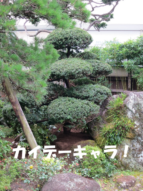 静岡県に配達してきたったｗｗｗ_b0200291_21203174.jpg