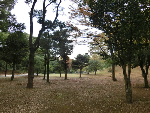 a0319693_16512881.jpg