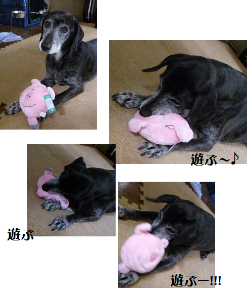 d0282395_2032440.png
