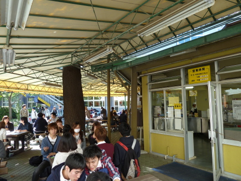 駒澤大学のパオ_c0092197_16440201.jpg