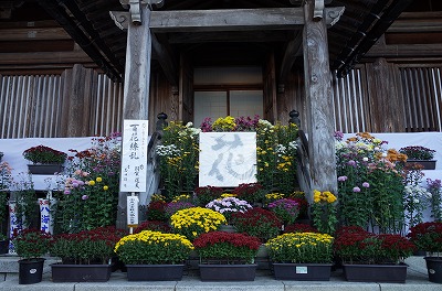 第29回 魚沼菊花展・浦佐菊まつり _c0336902_13215290.jpg