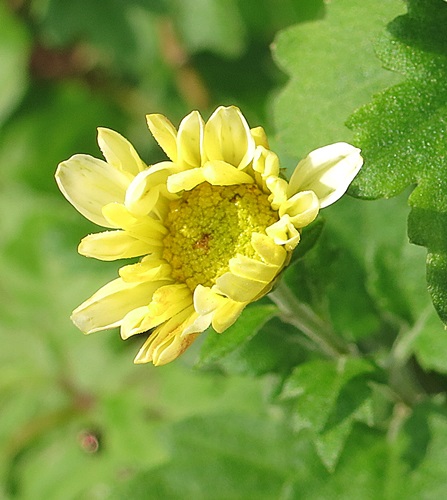 d0028304_10275369.jpg