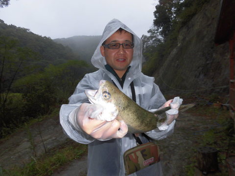 11月1日（土）小雨のち大雨のち小雨_f0192504_17123931.jpg