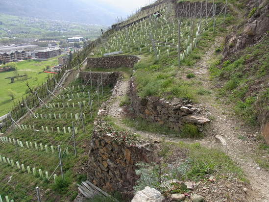 c0109306_15545954.jpg