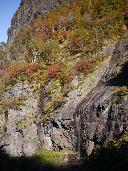 a0279012_1843546.jpg