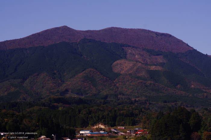 色づき始めた猫山_d0309612_0213473.jpg