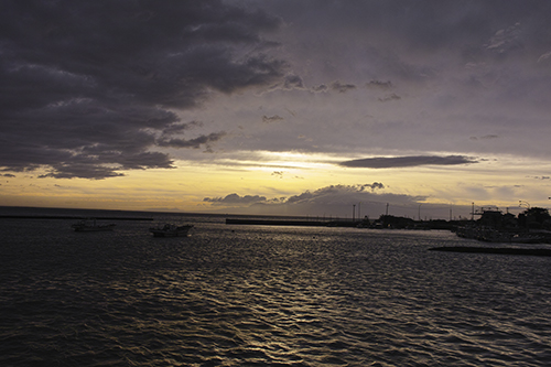 a0096313_156732.jpg