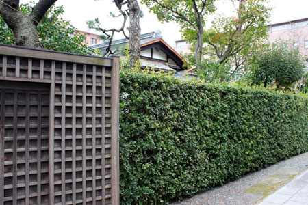 京都非公開文化財特別公開始まる_e0048413_218182.jpg