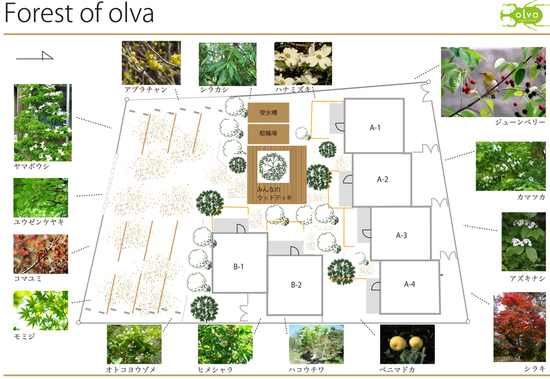 森をつくる、町づくりです。オーガニックライフヴィラ「olva」_e0029115_15484891.jpg