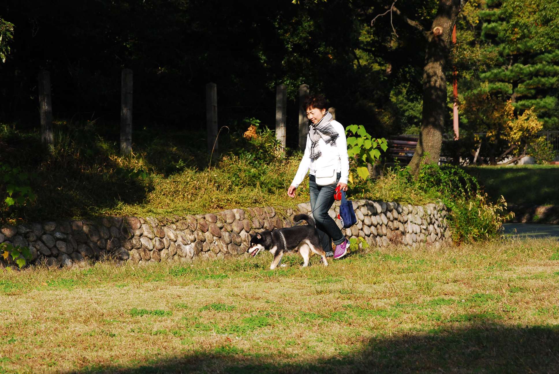 大仙公園にて　紅葉_b0165317_19393565.jpg