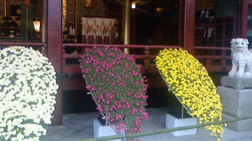 a0238019_20342616.jpg