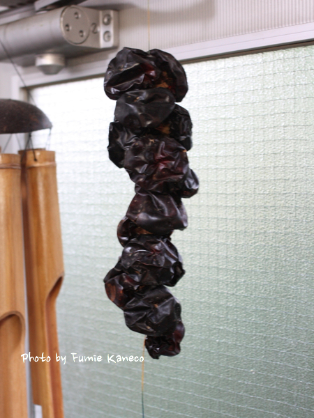 Tadakuのスペイン料理教室!_f0235919_1759110.jpg