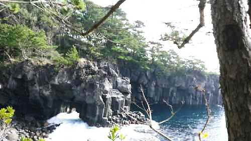 e0047322_1658825.jpg