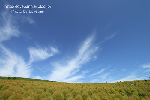 c0136926_23312445.jpg