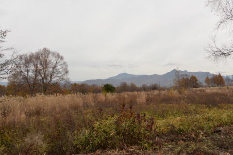 二つの橋～高原ロッジへ_e0335926_18363860.jpg