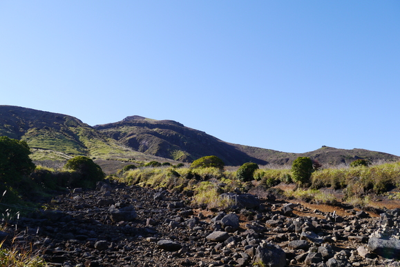 c0266127_15322591.jpg