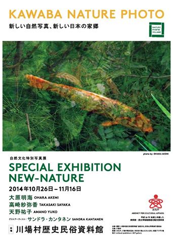 天野祐子さん 展覧会 ニューネイチャー 東川町国際写真フェスティバル Offcial Blog