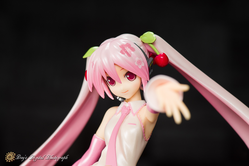 フィギュアJAPAN　－桜ミク－_a0200830_22383961.jpg