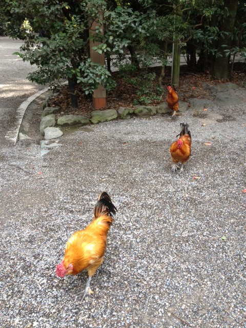 熱田の神様_a0258233_15165615.jpg