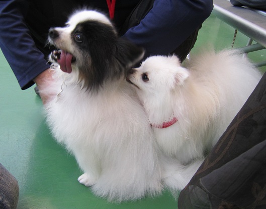 初めまして~♪_b0177436_21301695.jpg