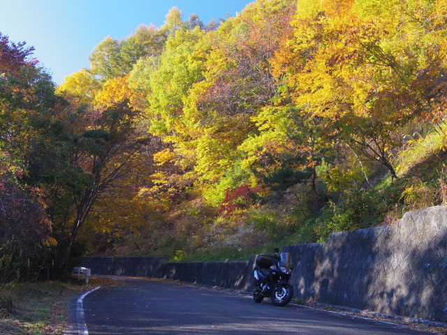 紅葉の八ヶ岳高原ラインと瑞牆山_f0300637_19511622.jpg