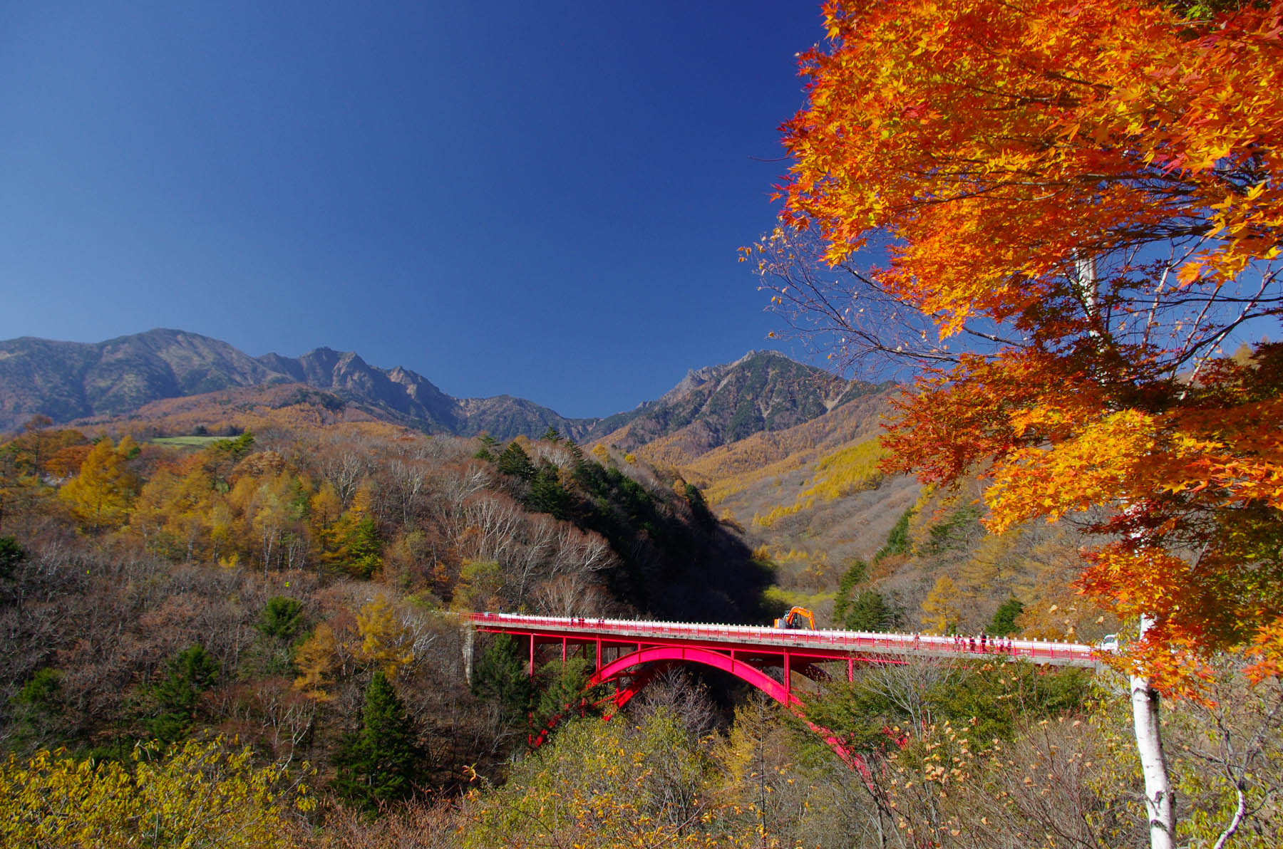 紅葉の八ヶ岳高原ラインと瑞牆山_f0300637_21274697.jpg