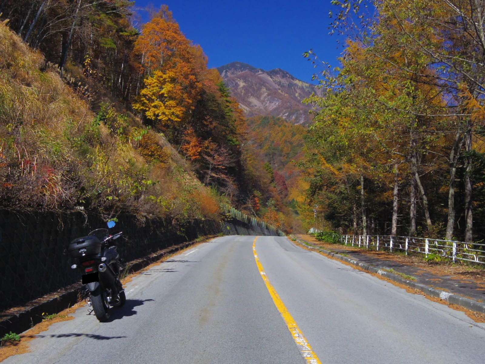 紅葉の八ヶ岳高原ラインと瑞牆山_f0300637_21410398.jpg