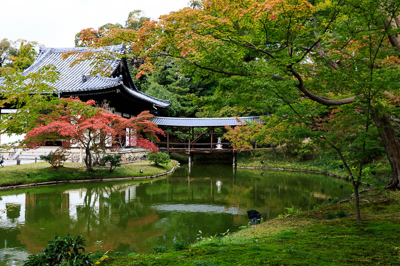 色づき始める高台寺へ_b0325840_23311966.jpg