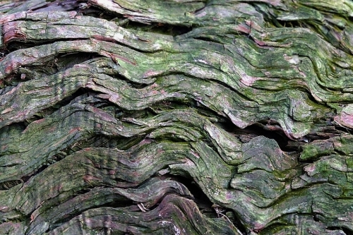 b0314043_21050580.jpg