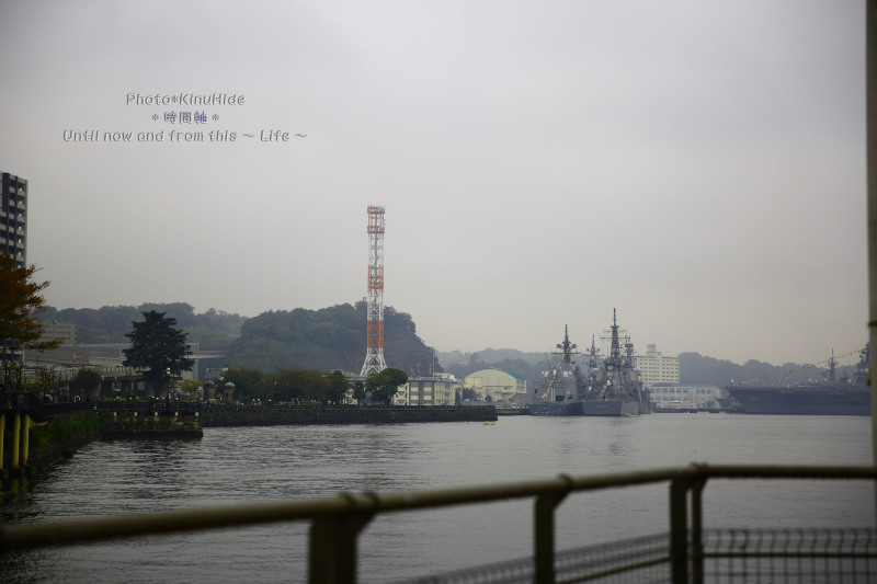 e0151944_23325640.jpg