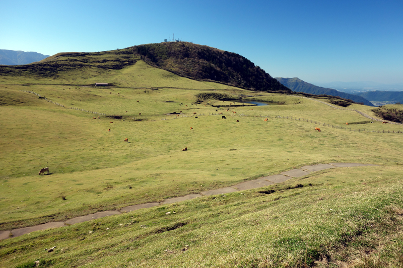 b0325549_11243516.jpg