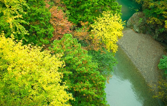 たかぴょんと赤い羽根うどん・・・・雨ビモヨシ、奥山渓谷ノ紅葉_d0005250_1728575.jpg