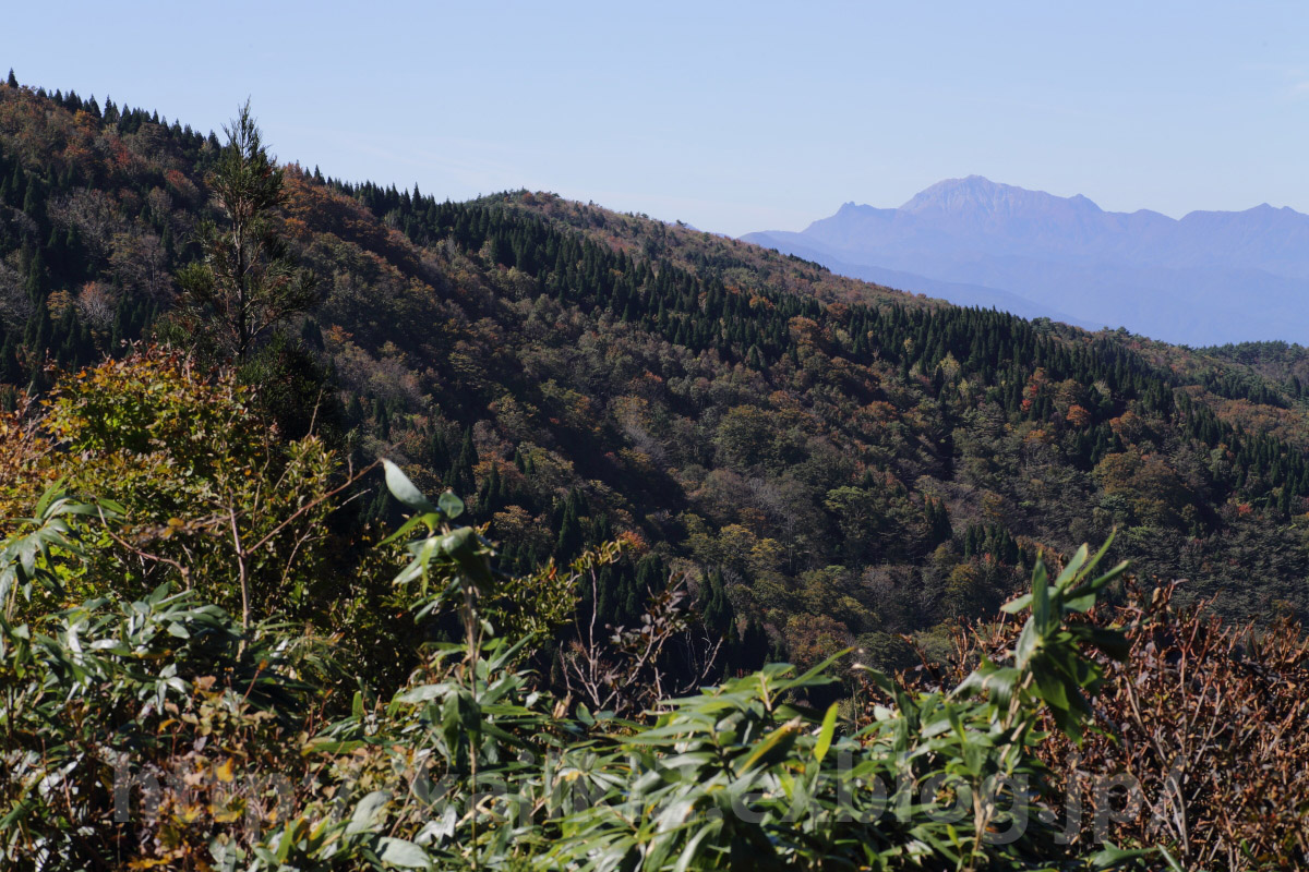 2014 秋　岡山県立森林公園　Vol.11_a0184859_22331350.jpg