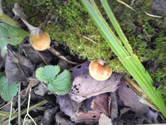 c0242062_1646349.jpg
