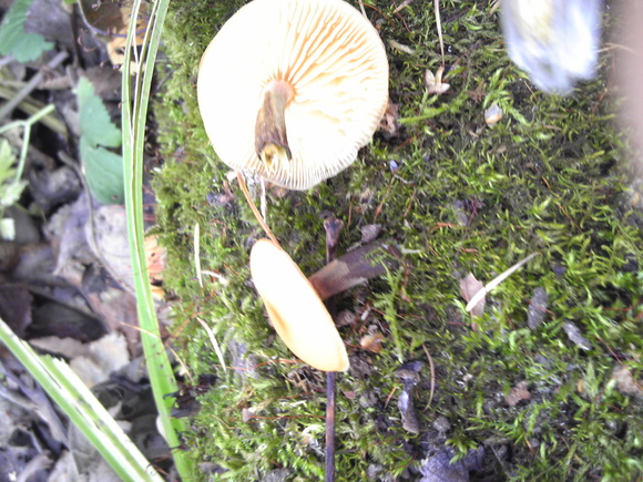 c0242062_16471457.jpg