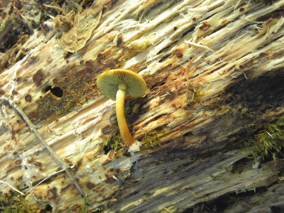 c0242062_16512247.jpg