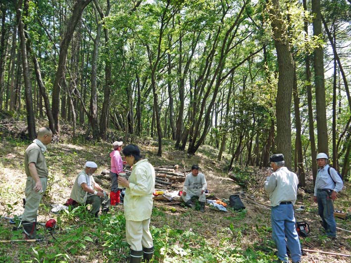 7回目の植樹に向け下準備：10・31六国見山臨時手入れ_c0014967_2152010.jpg