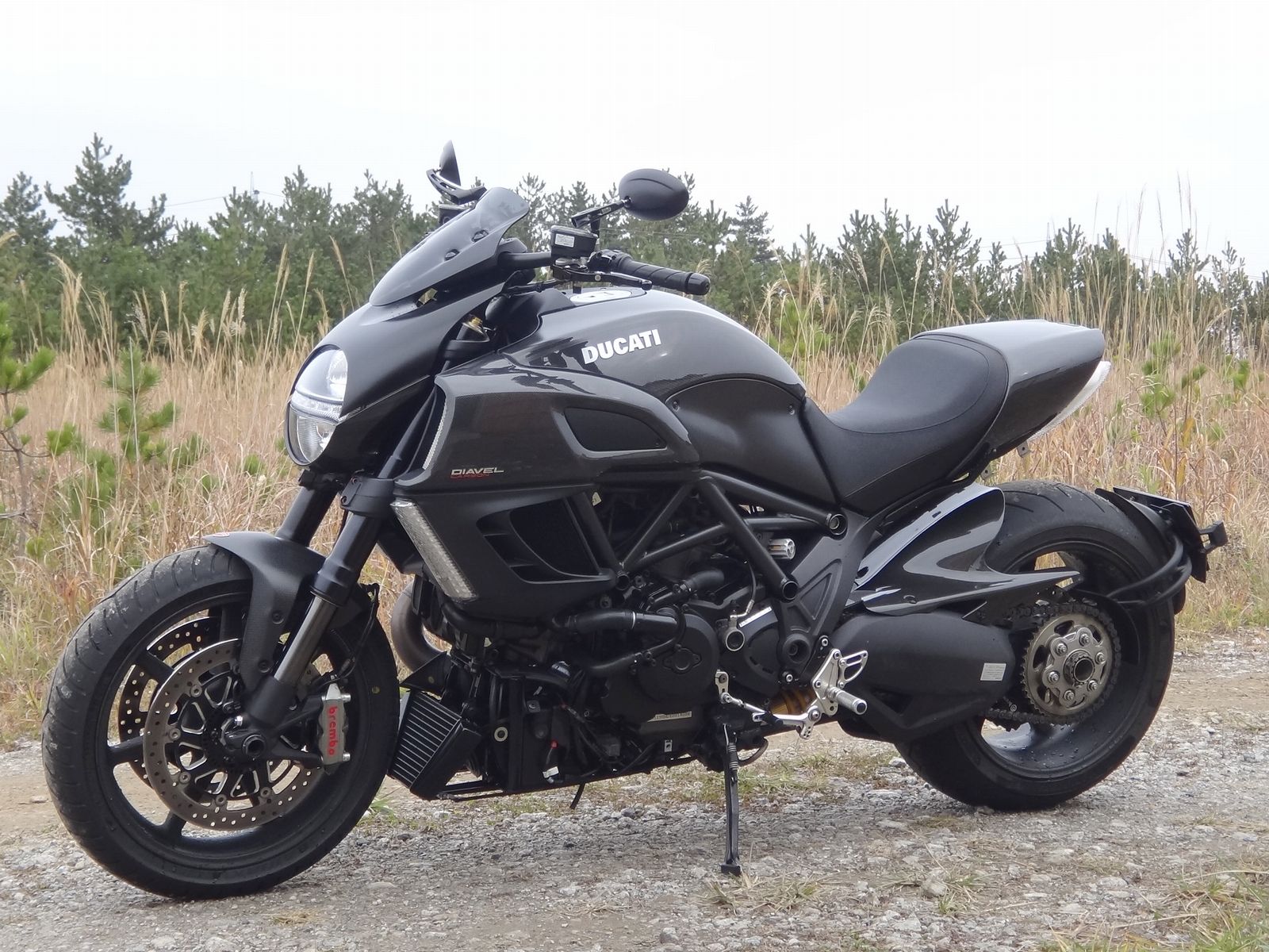 Diavel をｸﾘｰﾝｱｯﾌﾟ_f0004270_18181406.jpg