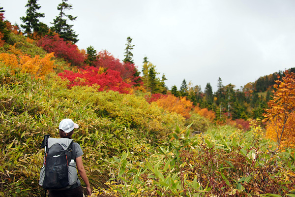 火打山 1日目(2014.9.27_28)_a0207672_23393052.jpg