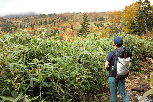 火打山 1日目(2014.9.27_28)_a0207672_23394177.jpg