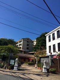 フィオーレの森　～Ｆ．Ｆ展情報　その３～_a0252678_938561.jpg