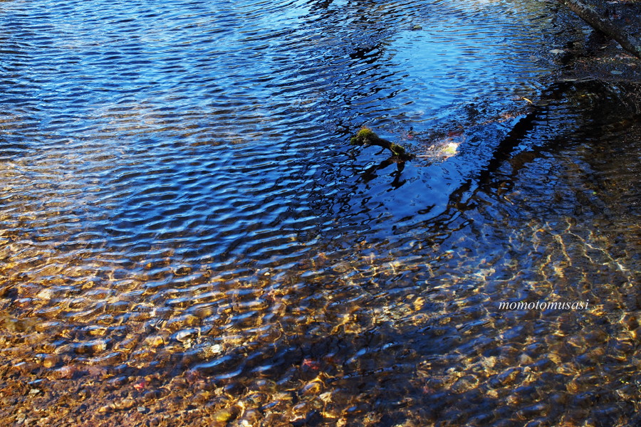 e0243382_1103911.jpg
