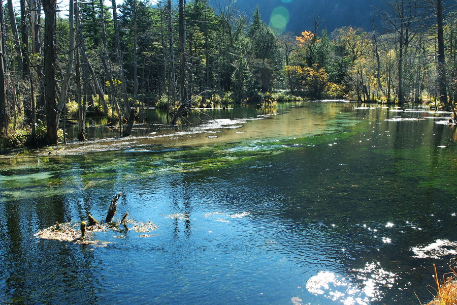 e0243382_1114077.jpg
