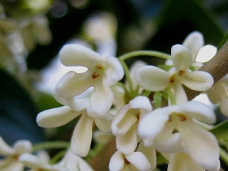 c0229483_1382971.jpg