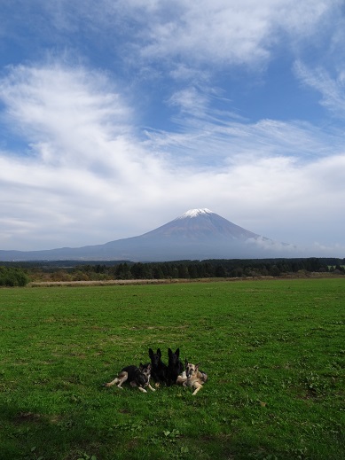 e0100584_5205280.jpg