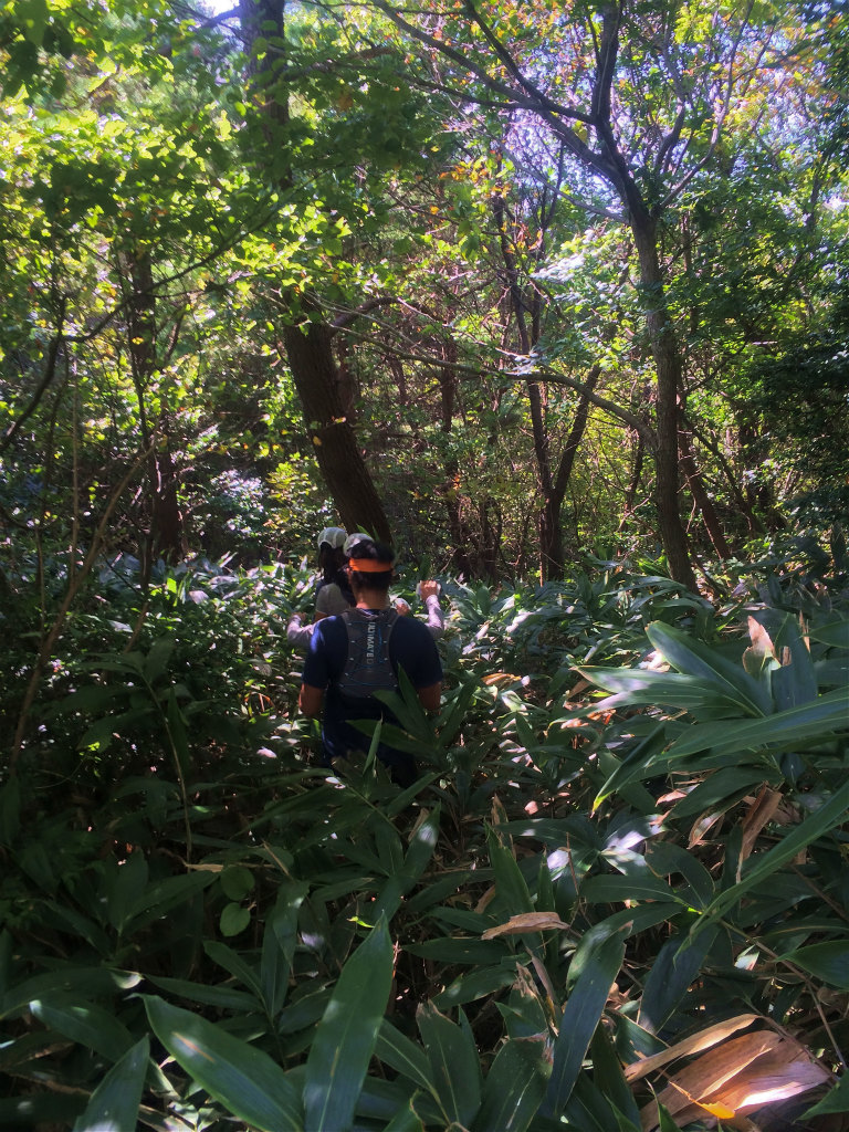 能登半島Mountain Running & Body Surfin\' Trip Day.3,4 2014/10/17-18_b0220886_104607.jpg