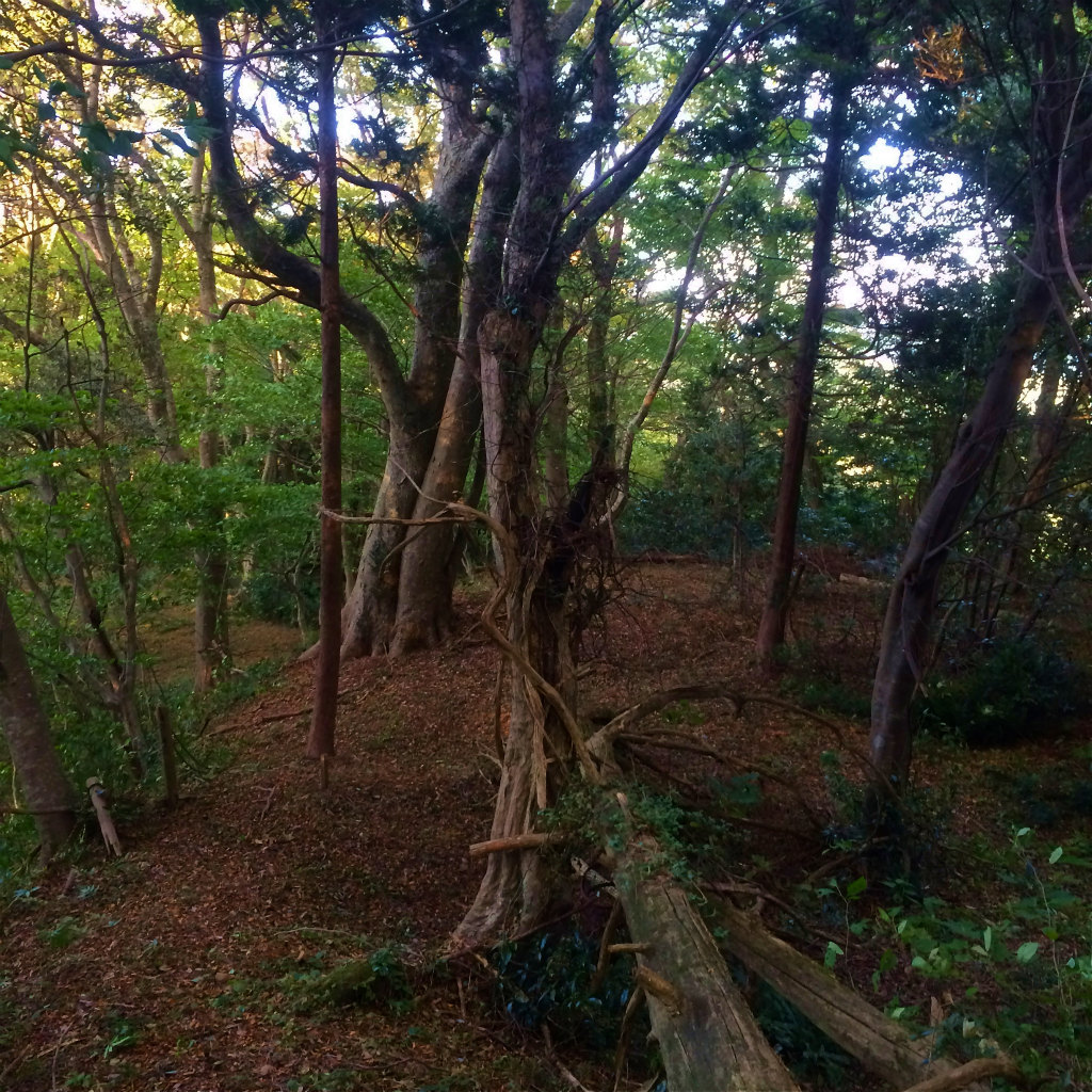 能登半島Mountain Running & Body Surfin\' Trip Day.3,4 2014/10/17-18_b0220886_115793.jpg